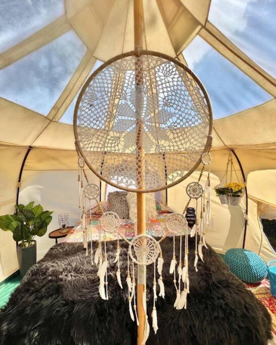The Pisces-A Stargazing, Luxury Glamping Tent Rogersville Exteriér fotografie