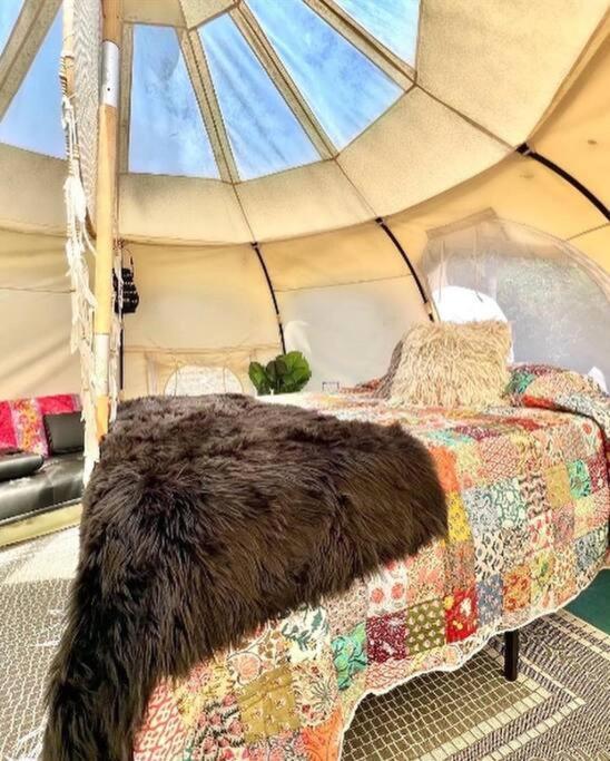 The Pisces-A Stargazing, Luxury Glamping Tent Rogersville Exteriér fotografie