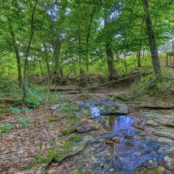 The Pisces-A Stargazing, Luxury Glamping Tent Rogersville Exteriér fotografie